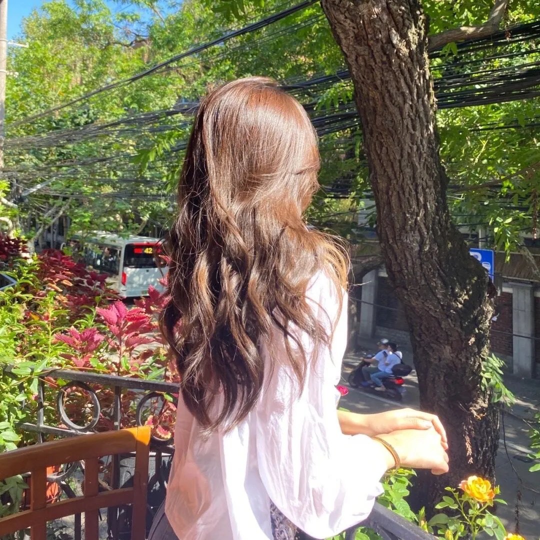 杨梅成熟的季节