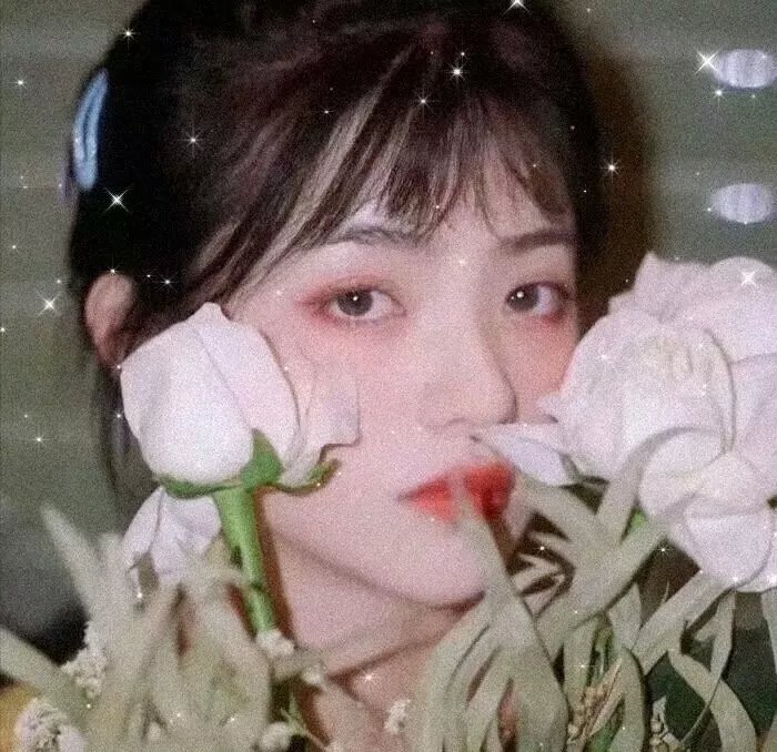 谁曾见过龙之脚趾