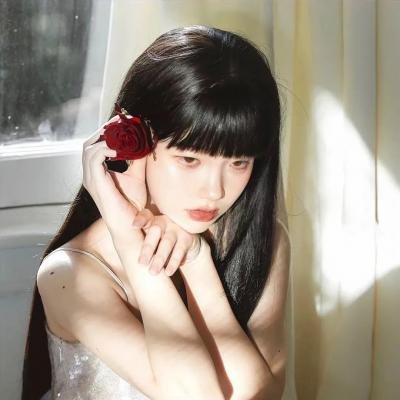 如翼之舟